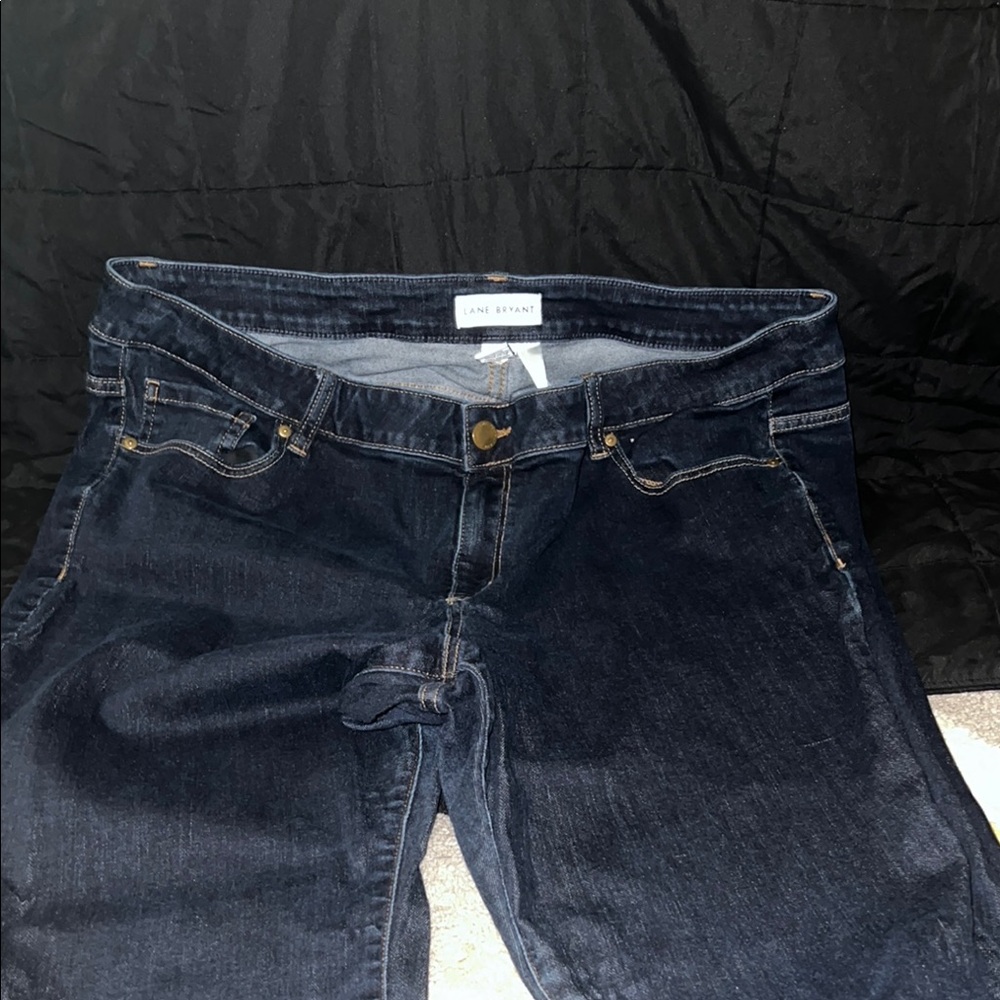 Lane Bryant Blue MidRise Skinny